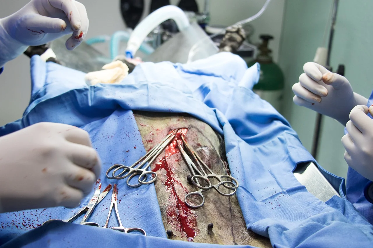 Rak prostaty: Nowoczesne podejście do leczenia operacją za pomocą robota da Vinci